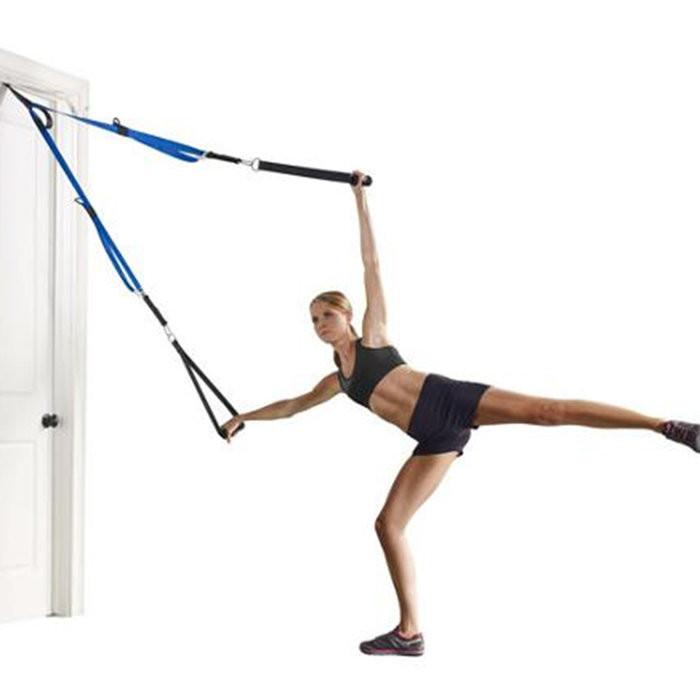 Gold's Gym Heavy Duty Suspended Body Weight Trainer Kit