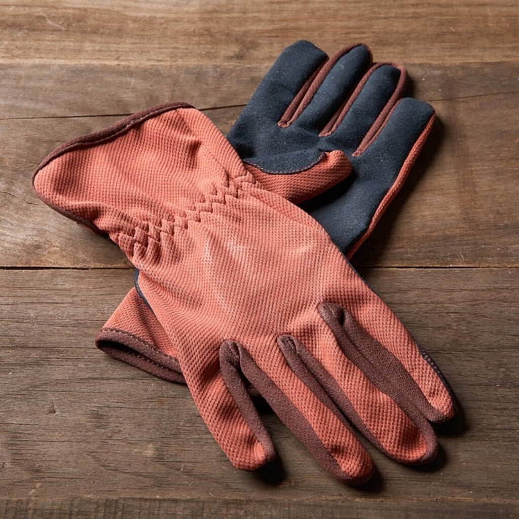 Williams-Sonoma Glove Crimson